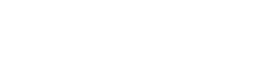 Back to Homepage